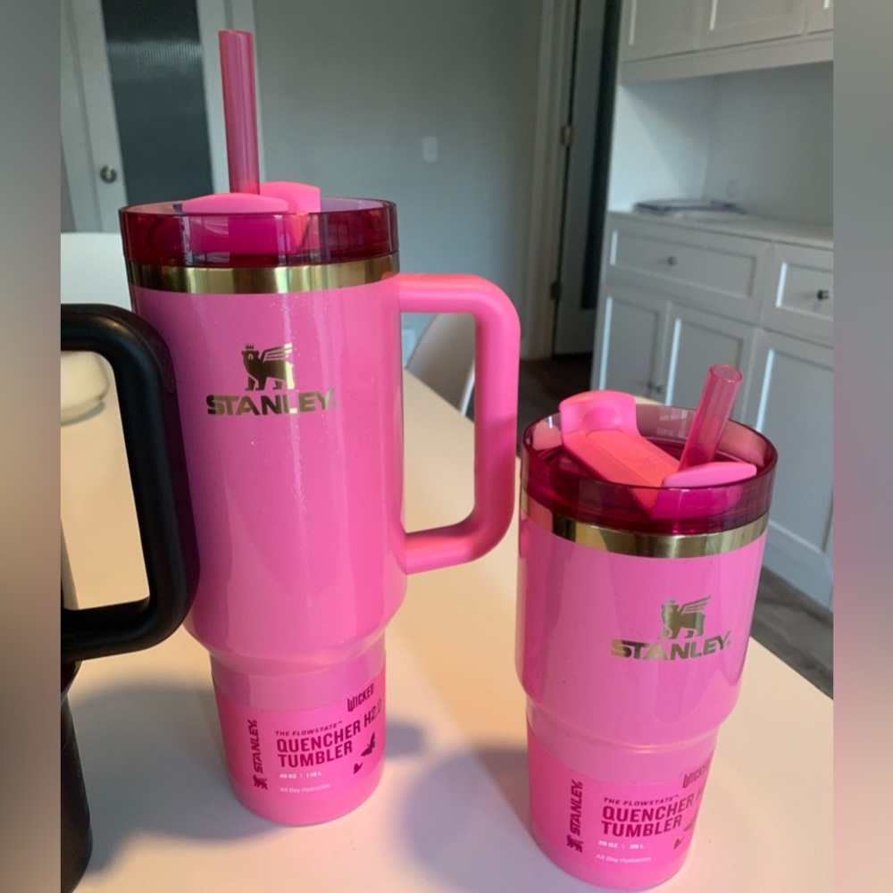 Stanley Wicked Tumbler Set